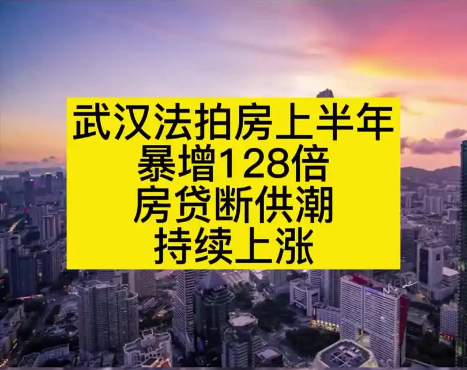 武汉法拍房，法拍房