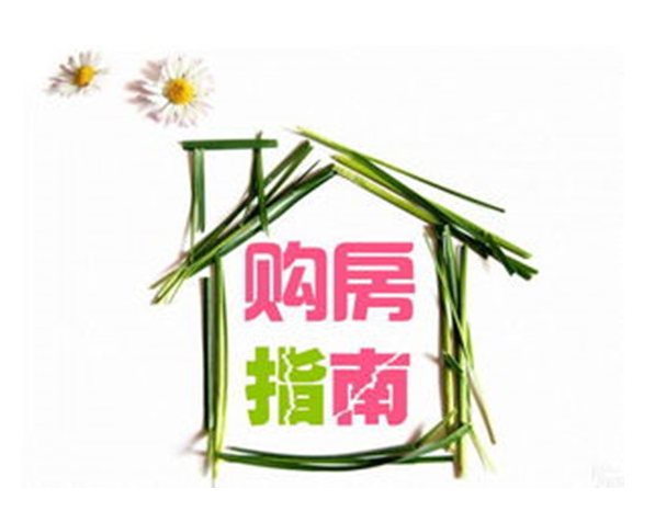 购房指南